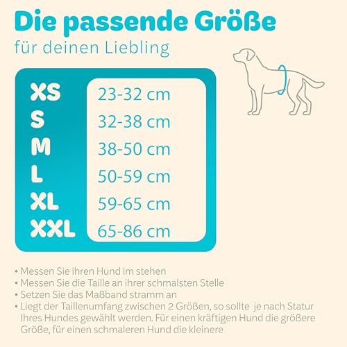 HUND IST KÖNIG Hundewindeln für Rüden [3 STK] Saugstarke Hundewindeln Rüde | Bequeme Hunde Windeln bei Inkontinenz Hund - Umweltfreundliche Rüdenwindel waschbar | Hundewindel leicht zu reinigen