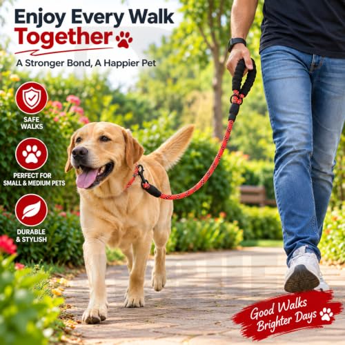 Image of PetVogue FT Nylon Rope Dog Leash, Heavy Duty Training & Walking Lead for Small, Medium & Large Dogs, Reflective Pet Walking Cord with Comfortable Padded Handle & Strong Metal Clip (Red)