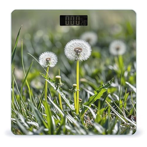 Báscula digital de baño con diseño Diente de León miniatura 1