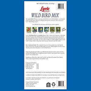 Lyricwildbirdmixwildbirdfoodforoutsidefeedersattractsdovesjaysandmanymore40lbbag Urban Country Home Decor Lyric wild bird mix wild bird food for outside feeders attracts doves jays and many more 40 lb bag urban country home decor