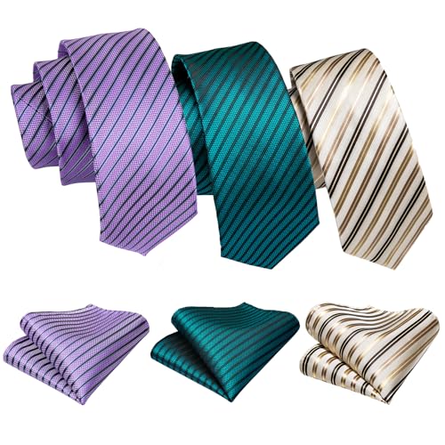 Image of Barry.Wang 6 PCS Men Ties Set Silk Business Fashion Woven Necktie Handkerchief Cufflinks Paisley Stripe Wedding Party