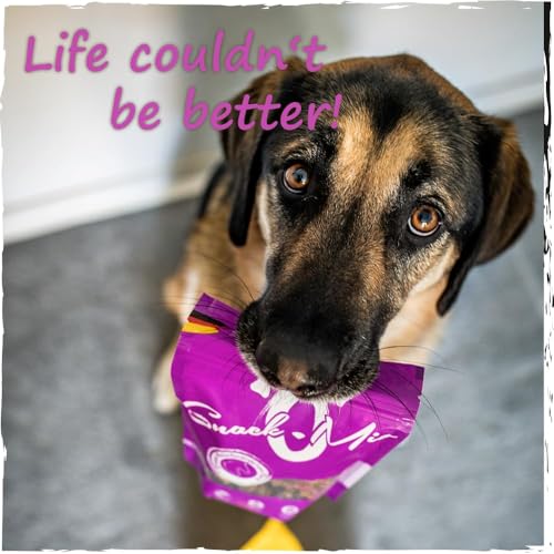 SnackOMio – Premium Hundesnack – delikates Pferdefilet in Streifen, getreidefrei, 1er Pack (1 x 70g)