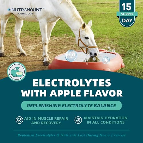 Nutramount Equine Electrolytes Supplement with Apple Flavor, Replenish Lost Minerals & Support Hydration for Horses During Training, Hot Weather or Travel – 420g