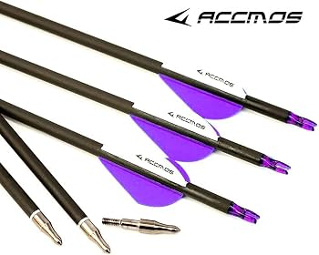 12 Flèches Carbone Pur 30,5 Pouces - ID 4,2 Mm - Spine 500 - Avec Ailettes - Chasse