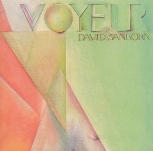 Voyeur (Jpn) (24bt)