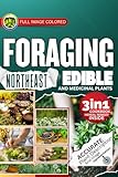 Foraging Northeast Edible and Medicinal Plants: Easiest Guide with In-Depth Profiles on Identifying, Harvesting, and Using Native Plants Wild Plants of New England