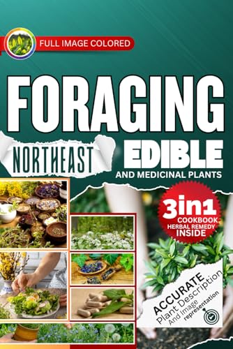 Foraging Northeast Edible and Medicinal Plants: Easiest Guide with In-Depth Profiles on Identifying, Harvesting, and Using Native Plants Wild Plants of New England