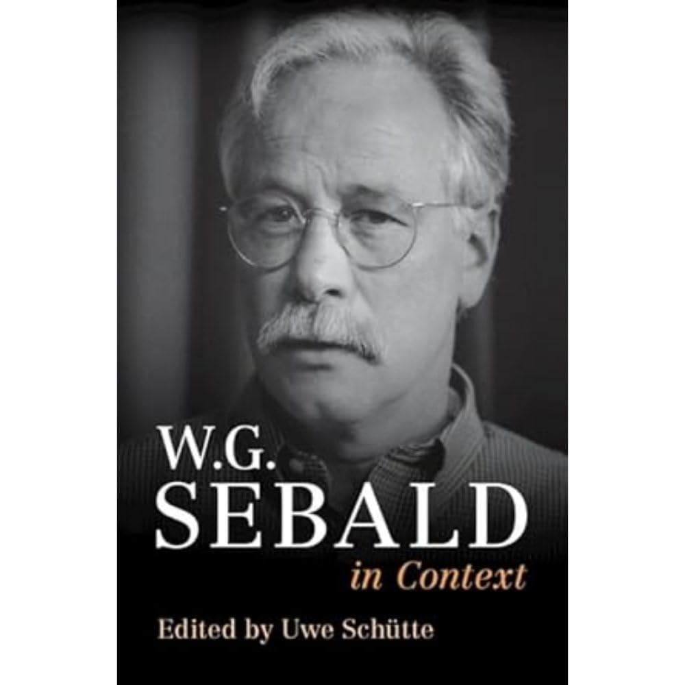 W. G. Sebald in Context (Literature in Context)