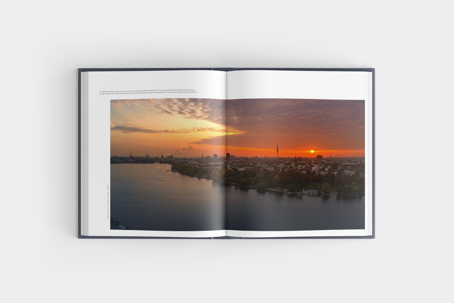 Der Hamburger: Das Buch der Stadt