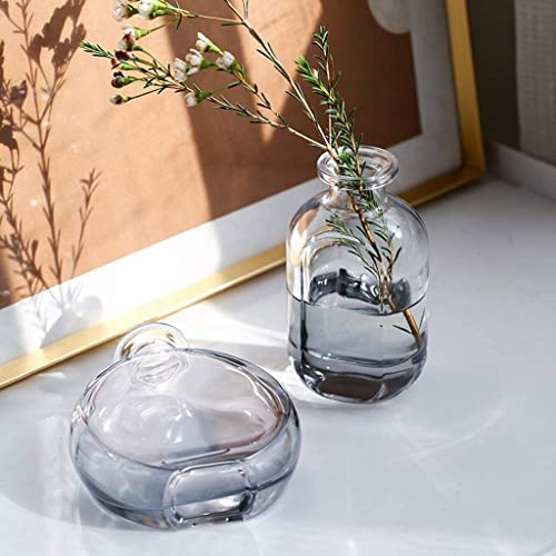 Vase transparent en verre pour arrangement de fleurs séchées