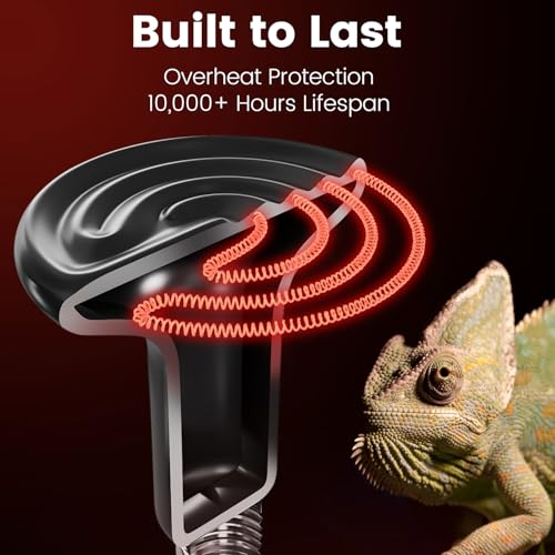 Image of REPTITRIP Dual Reptile Light Fixture with 100W Daytime Heat Bulb & 100W Nighttime Ceramic Heat Emitter, 2 Independent Switches, Reptile Heat Lamp Combo Pack - No UVB