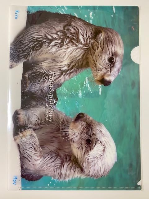 鳥羽水族館　ラッコ　クリアファイル Amazon.co.jp: 鳥羽水族館 オリジナル クリアファイル ラッコ キラ