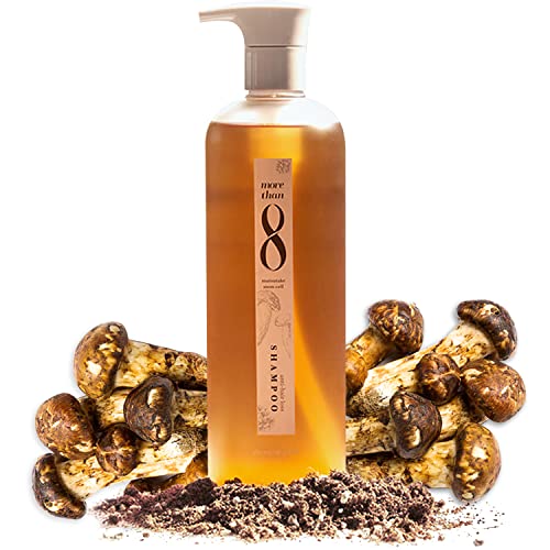 Morethan8 Anti Hair Loss and Hair Growth Shampoo with Matsutake Stem Cell Extract – 480ml Hair Thickening Shampoo for Thinning Hair and Hair Loss – Hair Shampoo For All Types and Color of Hair