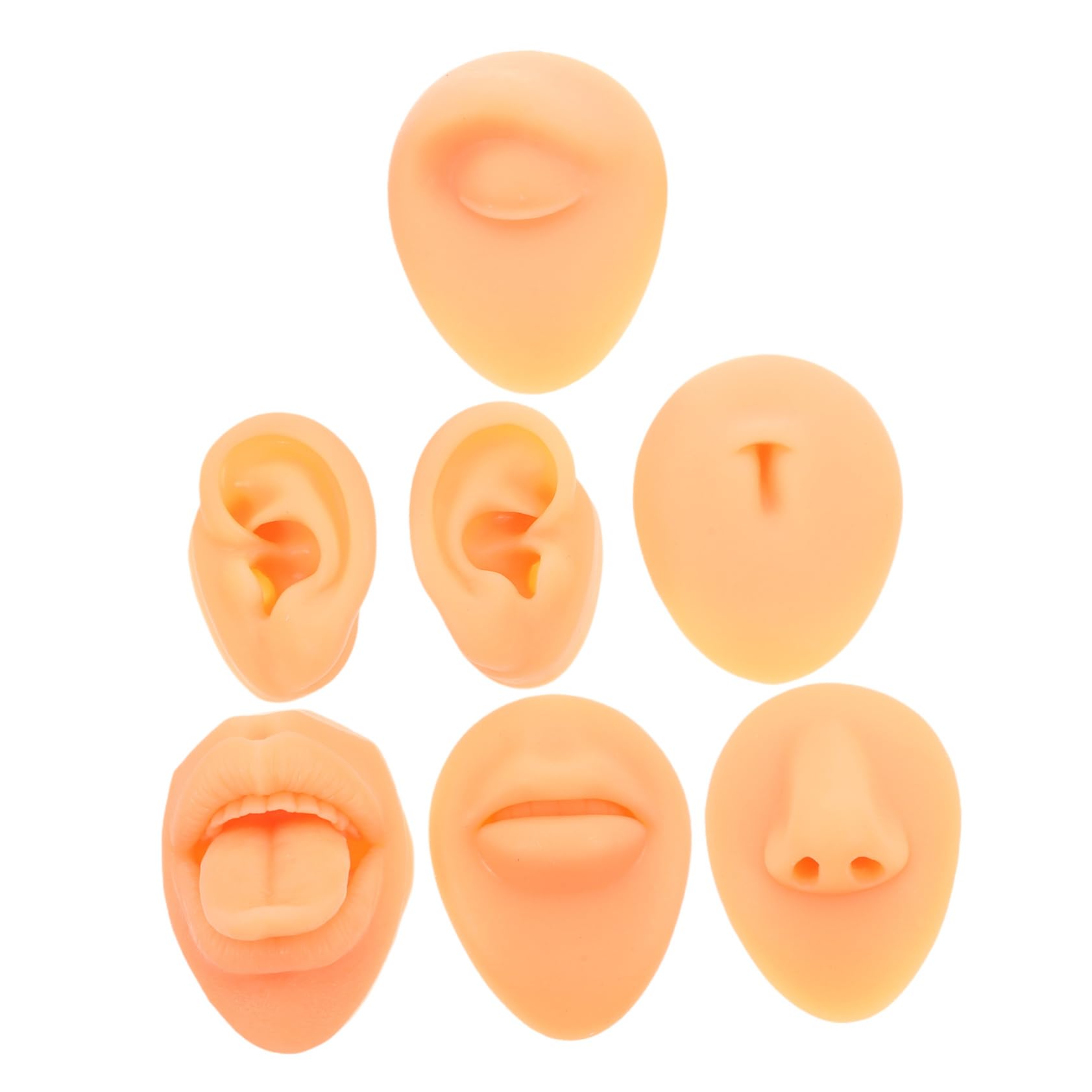 SECFOU 1set Modelli Facciali Silicone Per Piercing Comprende Orecchie Naso Bocca e Lingua Modelli Flessibili Per Pratica e Insegnamento Strumenti Di Alta Versatilità e Facili Da Pulire
