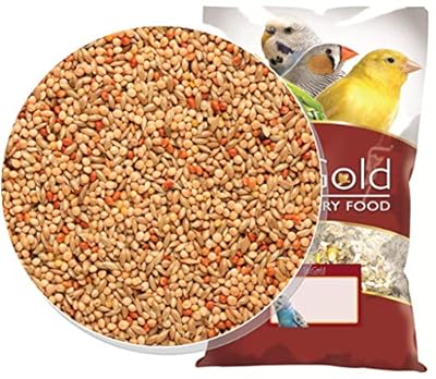 SkyGold Quality Budgie Seed Feed Food