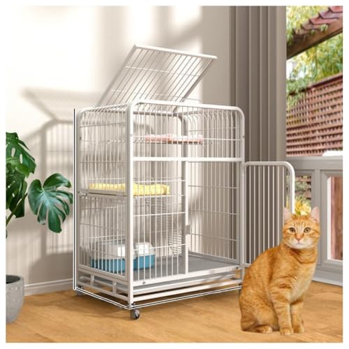 Klivex LbgP[WB L P[W gCt 2KĒ^ ^/XRpNg lC nbN tH[ tgt gȒP LbgP[W lR ˂ (A [nbN + Xgbv + zC[ + ͂],zCg 