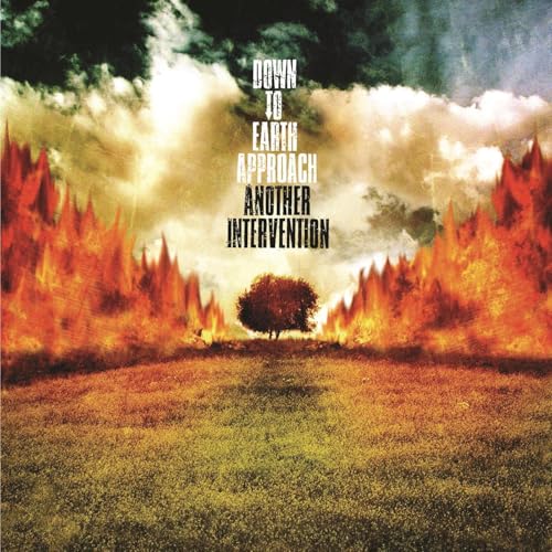 Down To Earth Approach