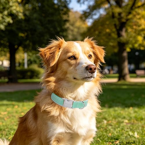 Image of ARING PET Cute Dog Collar for Puppy Small Medium Large Dogs-Teal Stripe L | Cute Heavy Duty Basic Pet Collars with Metal Buckle for XS S M L XL Dogs, for City Seaside Walk Coffee Shop Pool Party Stroll