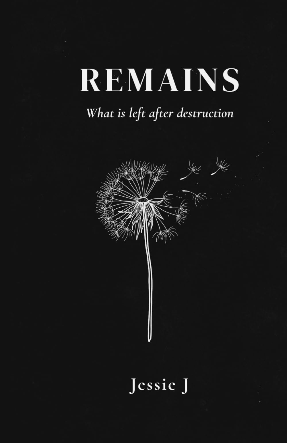 Remains: What is left after destruction