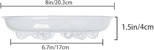 Miniatura 3 de Idyllize - Base de plástico transparente para plantas (5 unidades)