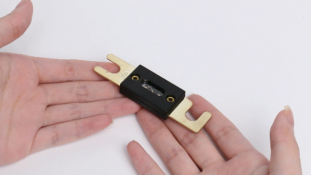SCATOLA FUSIBILI AUDIO auto 1 via in 2 via d'uscita con fusibile ANL 24