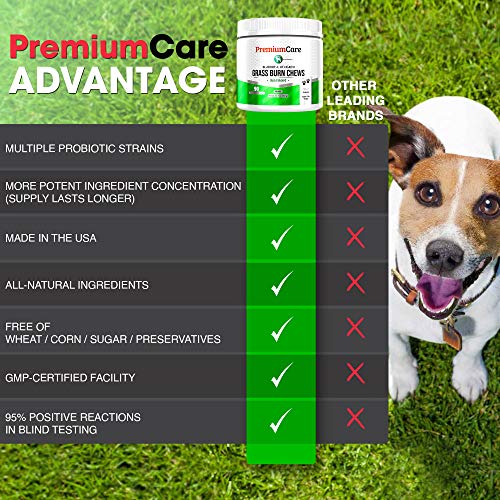 PREMIUM CARE Grass Burn Spot Chews for Dogs - Made in USA - Dog Pee Lawn Spot Saver Treatment Caused by Dog Urine - Cranberry, Apple Cider Vinegar, DL-Methionine Grass Saver Treatment for Dogs Rocks