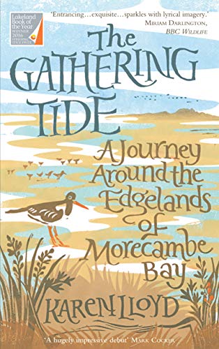 The Gathering Tide view 2