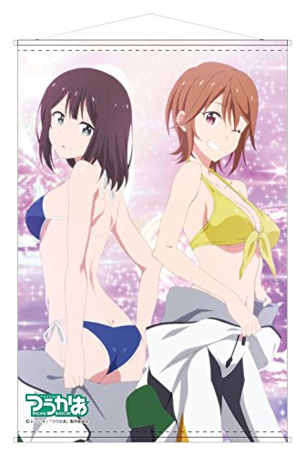 Amazon.co.jp: つうかあ B2タペストリー B 73×52cm : おもちゃ