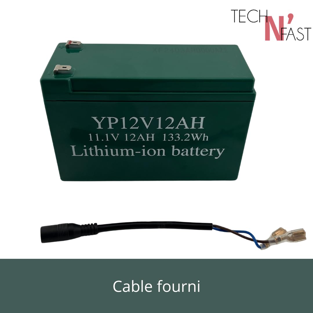 Batterie Lithium-ION Haute Performance 12V pour Pulvérisateur Électrique Gladiator - Autonomie Exceptionnelle de 6 Heures - Charge Rapide 220/240 VAC - 50/60 Hz