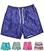 INGEAR Little Boys Quick Dry Beach Board Shorts Swim Trunk Swimsuit Beach Shorts with Mesh Lining (Blue Flamingo, 2T)