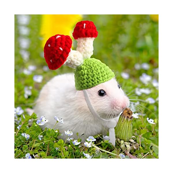 10 pcs hamster hat small animals cute tiny hat mini hand knitted hats for snakes pets bearded dragon guinea pig bunny costume accessories holiday parties - image 5