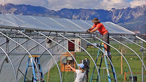 A&A Green Store Greenhouse Plastic Film Clear Polyethylene Cover UV Resistant (8 ft Wide x 25 ft Long)