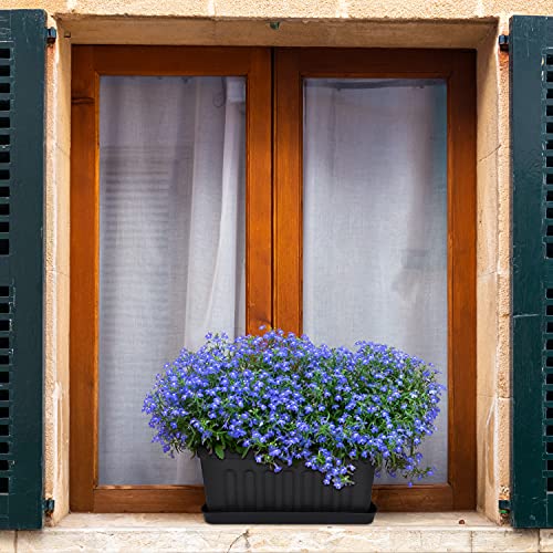 Livzing 16 Inch Plastic Rectangle Window Flower Pot with Drain Tray Set - Heavy Duty Highly Durable Plant Container Gamla for Indoor Home Decor & Outdoor Balcony Garden(Pack of 5, Black)