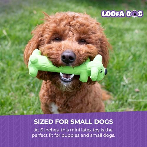 Multipet Original Loofa Latex Dog Toy - Squeaky Toy for All Dogs - Easy-to-Clean Squeaky Toys - Latex Dog Toys for Playing (1 Count, 6”, Random Color Surprise)