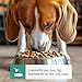 Dog Teeth Cleaning Powder - Dog Breath Freshener + Dental Care for Doggies & Cats + Tartar Remover for Teeth with Natural Ingredients + Probiotics Blend (Mint - 200g)