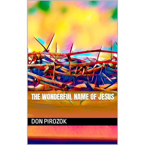 The Wonderful Name of Jesus (Authored by Don Pirozok, Cheryl A Pirozok) episode artwork