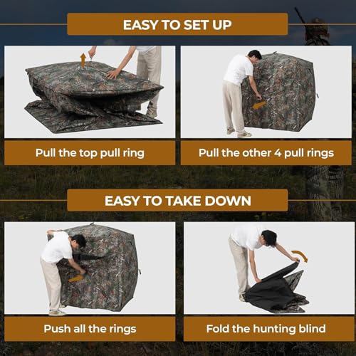 Carpa de Camping Panorámica 360° con Estructura de Fibra de Vidrio miniatura 7