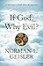 If God, Why Evil?: A New Way To Think About The Question