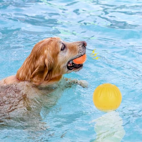Welpenspielzeug zum Zahnen, weich und langlebig, 6er-Pack, quietschendes Spielzeug für kleine und mittelgroße Hunde, geeignet für 2–8 Monate, Zahnreinigung und Mundgesundheitsschutz für Welpen,