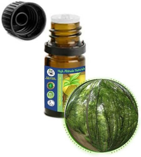 0.2 fl oz (1/6oz) Aceite Esencial de Corteza de Abedul Negro (Dulce) (Betula Lenta)