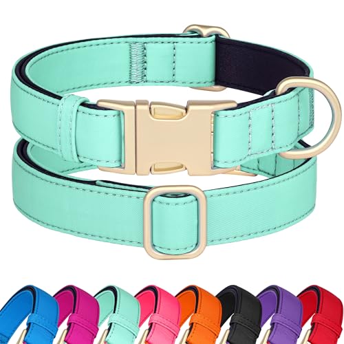 Collier rembourré doux pour chien Didog vert M imperméable pour balade