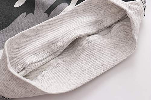 Image of Toddler Boys Crewneck Sweatshirt, Cotton Long-Sleeve Pullover Cartoon Print