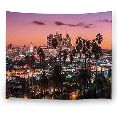 Amazon.com: QCWN Palm Tree Decor Tapestry Beautiful Sunset of Los