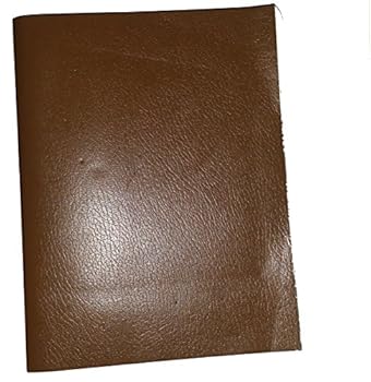 Paperback The Watchtower 2005 Bound Volume Book