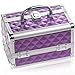 SHANY Chic Makeup Train Case Cosmetic Box Portable Makeup Case Cosmetics Beauty Organizer Jewelry storage with Locks, Multi trays Makeup Storage Box with Makeup Mirror - Purple