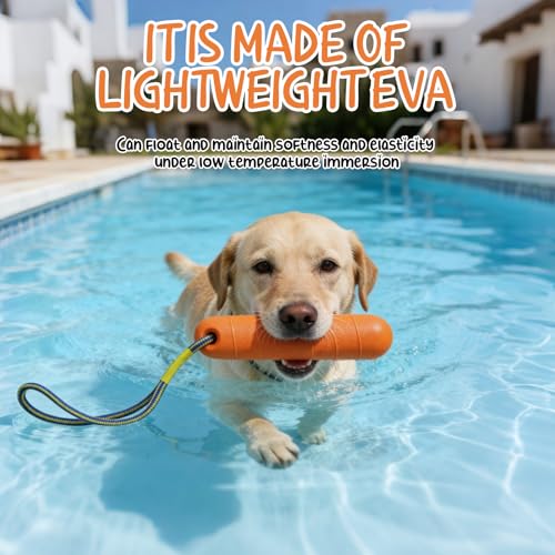 Ourdort Hundespielzeug,Schwimm Spielzeug für Hunde,Wasserspielzeug für Hund Hundetraining,Interaktives Hundespielzeug,Trainieren und Apportieren im Wasser (orange)