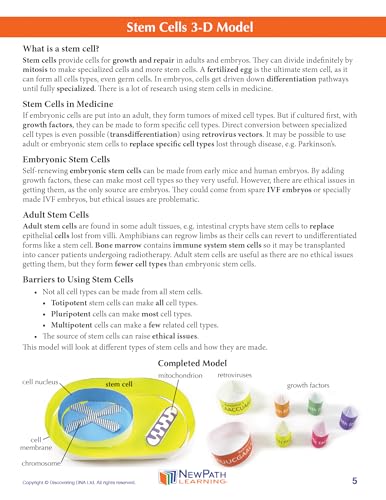 Image of NewPath Stem Cells 3-D Paper Model Making Kit - Individual Student Edition (24-7732)