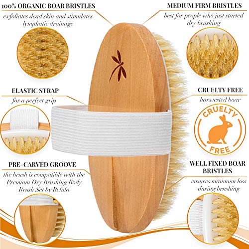 Image of Dry Brushing Body Brush - Medium Soft Dry Brush for Cellulite and Lymphatic. For Beginners & Advanced Users. Exfoliating Skin Brush and Free Konjac Sponge, for a Softer, Glowing Skin