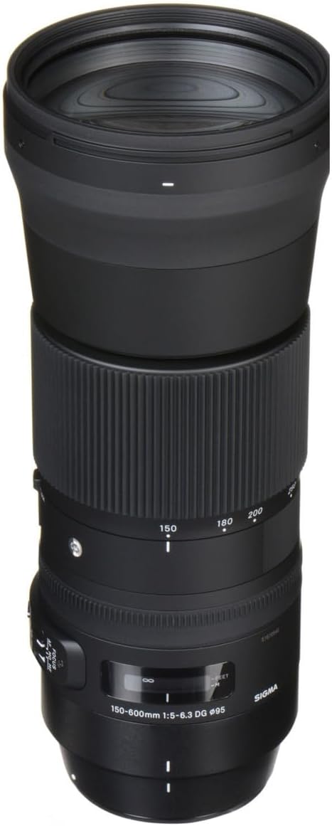 Sigma 150-600mm F5-6.3 Contemporary DG OS HSM & TC-1401 for Nikon