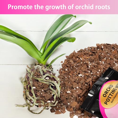 GOTVUGE Orchideen-Pflanzsubstrat 1L, bestehend aus Orchideenrinde und Perlit, ideal für Einpflanzen, Umtopfen, Gute Drainage, Luftzirkulation und Wurzelbelüftung